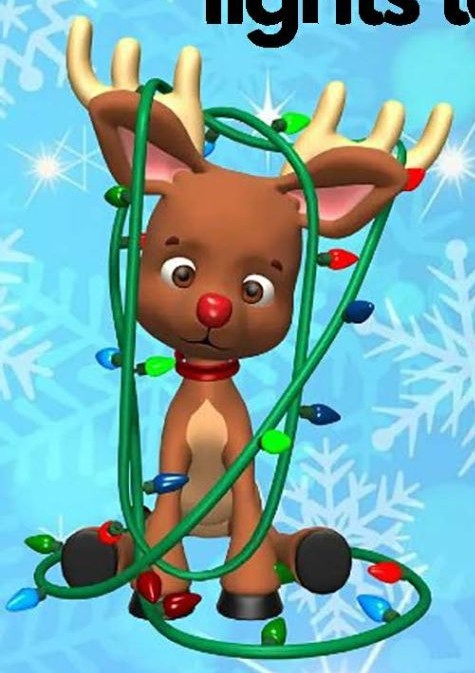 Reindeer with Lights
